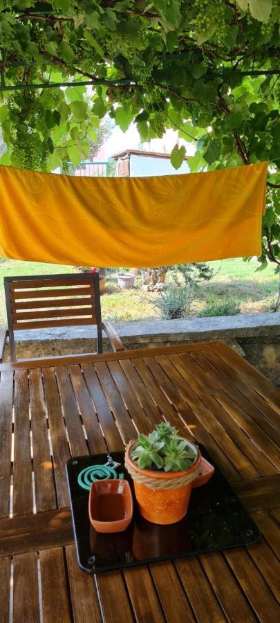 Apartmani Centar Seline Paklenica 外观 照片