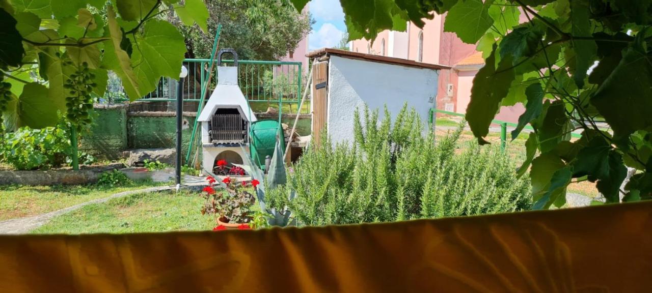 Apartmani Centar Seline Paklenica 外观 照片