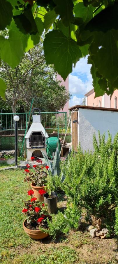 Apartmani Centar Seline Paklenica 外观 照片